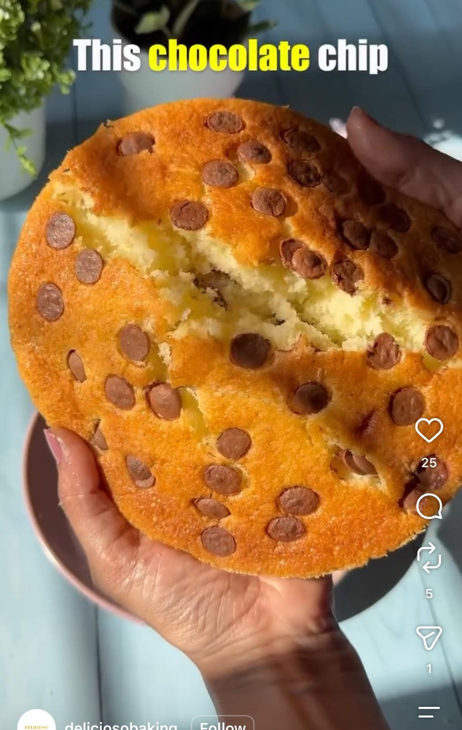 This chocolate chip